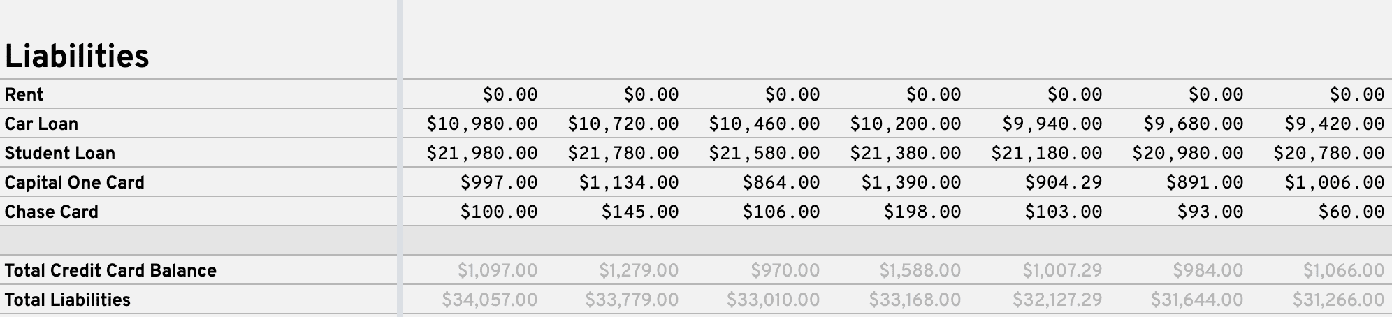 Example of the Liabilities section with sample data on the Balance Sheet tab.