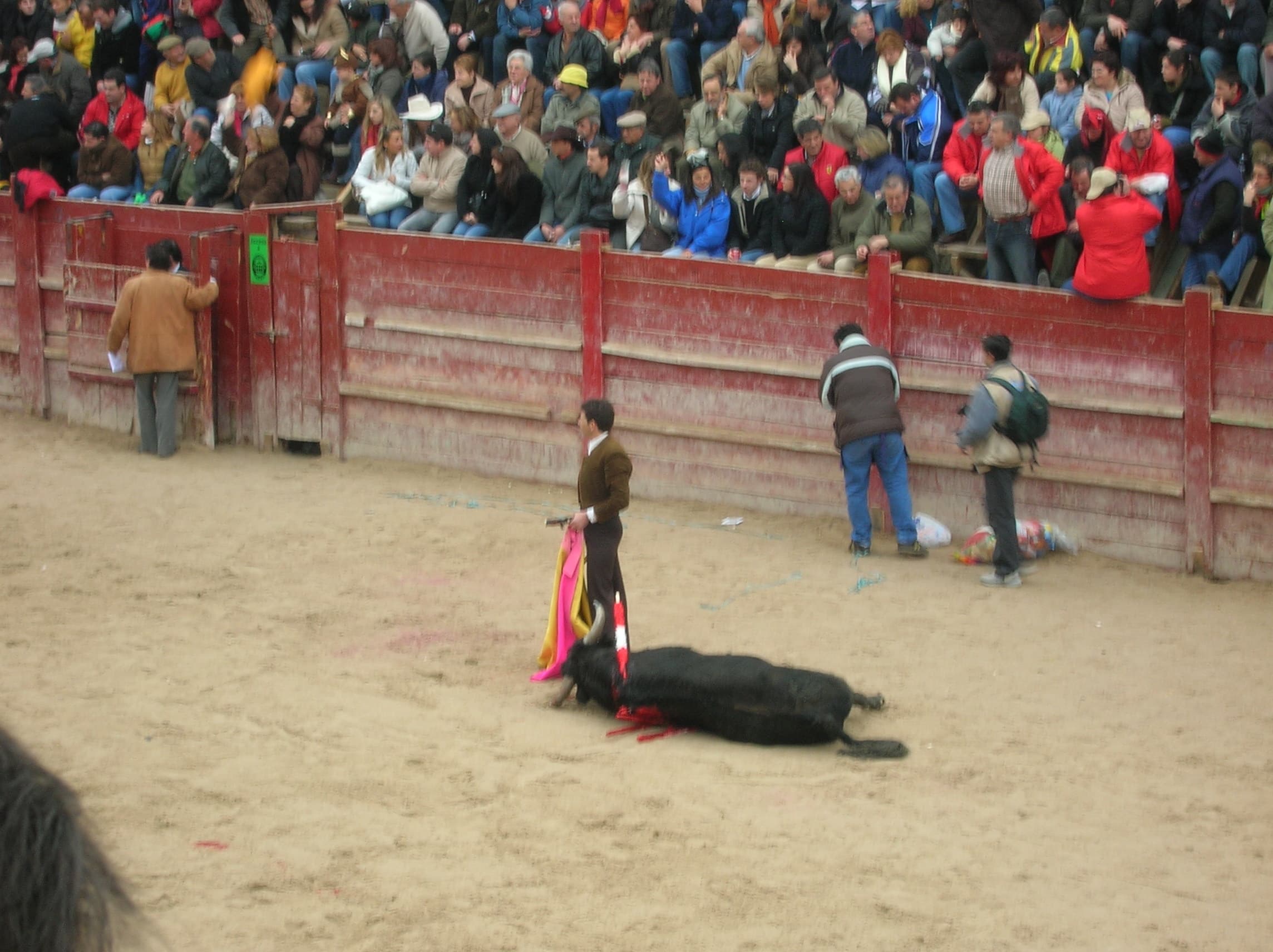 Once the bull is too weak to offer the matador a challenge, a final, fatal blow is delivered